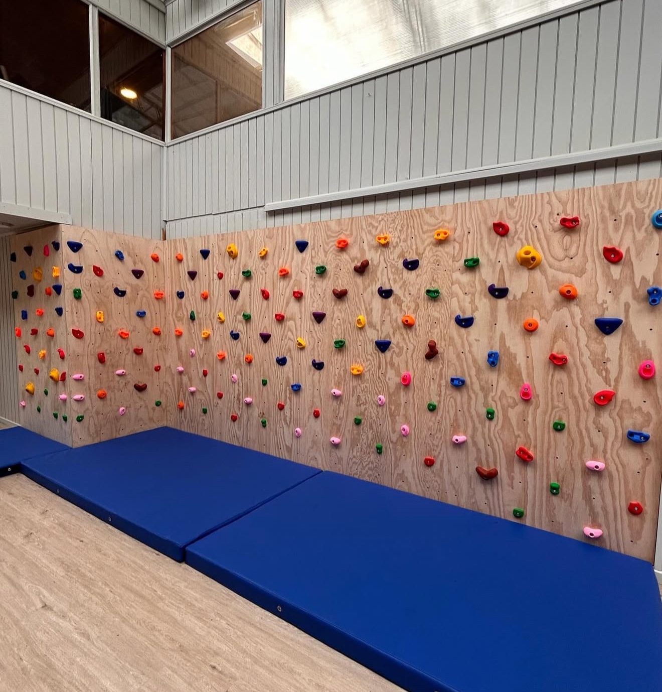 Muro de escalada